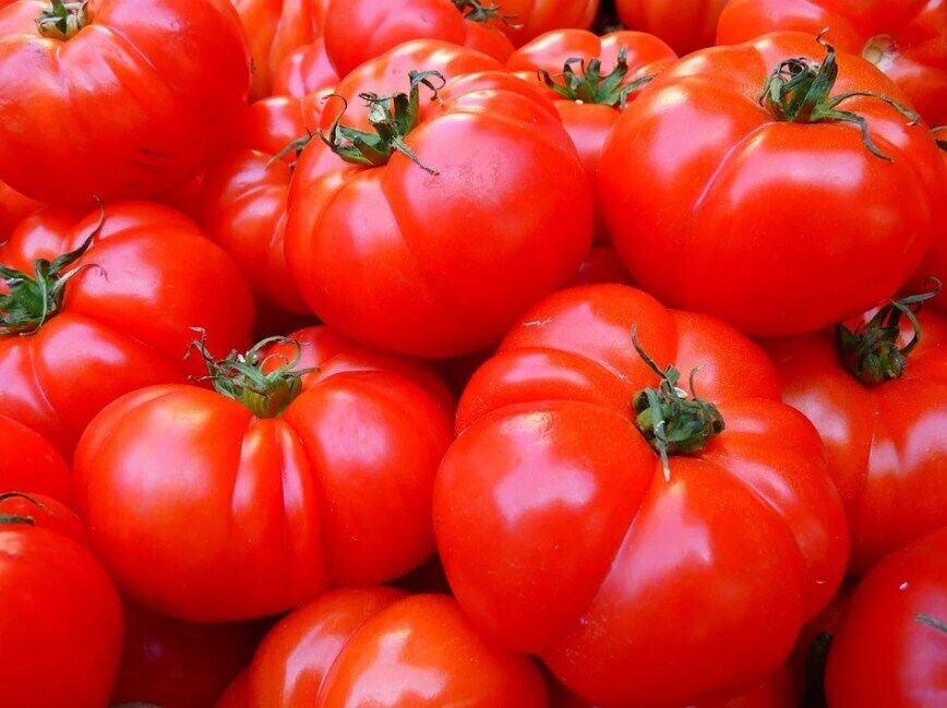 Что приготовить из помидоров