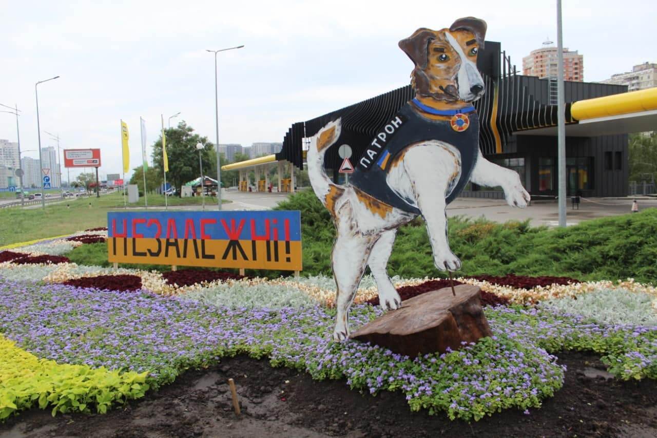 У Києві клумбу прикрасили фігуркою найвідомішого пса України – Патрона. Фото