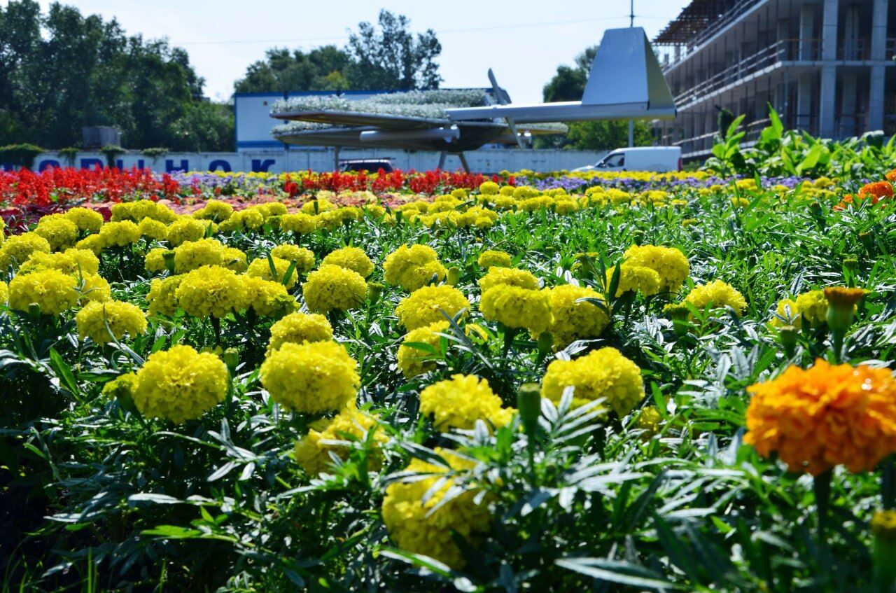 У Києві з'явився квітник, присвячений "Байрактару". Фото