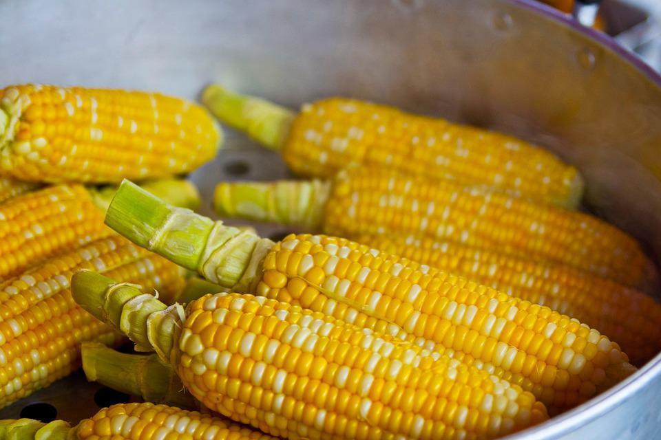 Як приготувати молоду кукурудзу