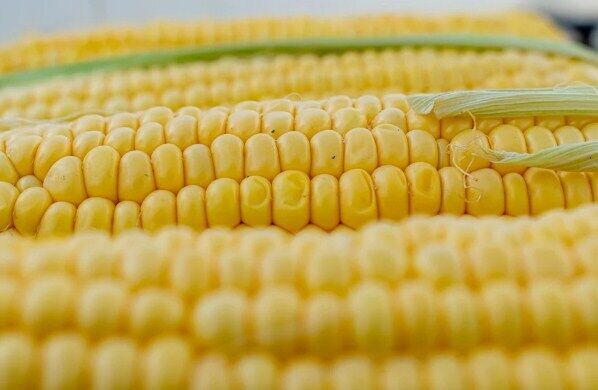 Как необычно приготовить кукурузу, чтобы она была сочной