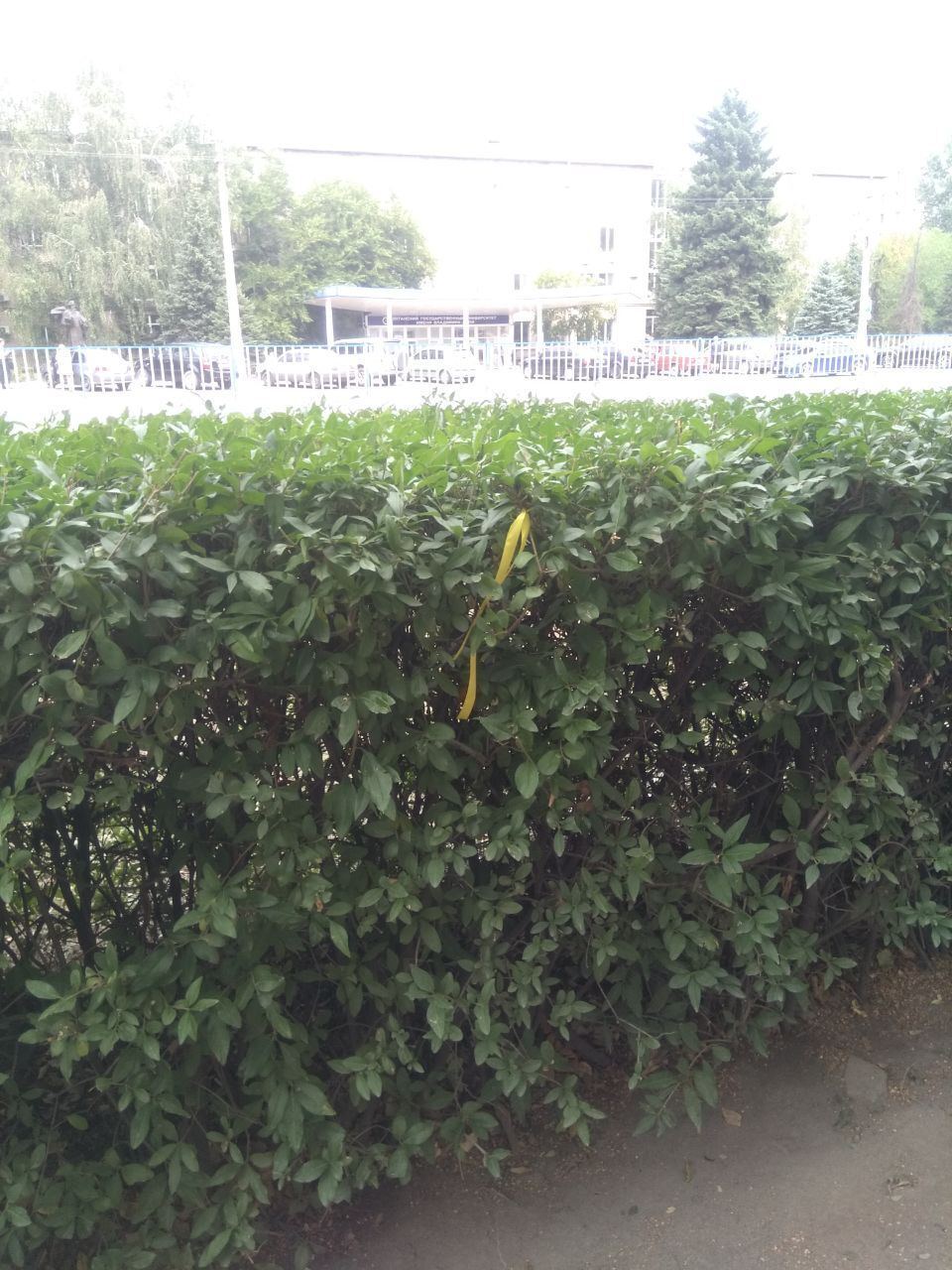 Партизани закликали завісити жовтими стрічками все місто