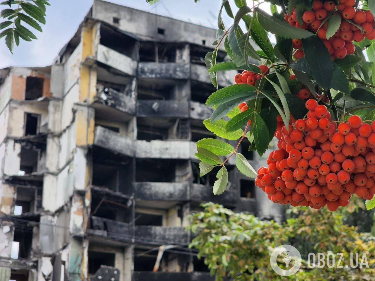 Як зараз виглядає Бородянка, в якій звірствували окупанти. Фото і відео