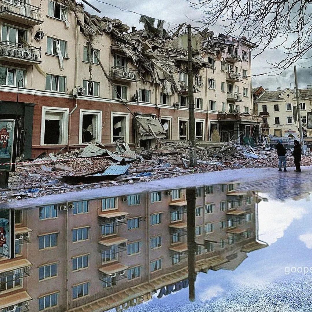 Фото члена 17 см