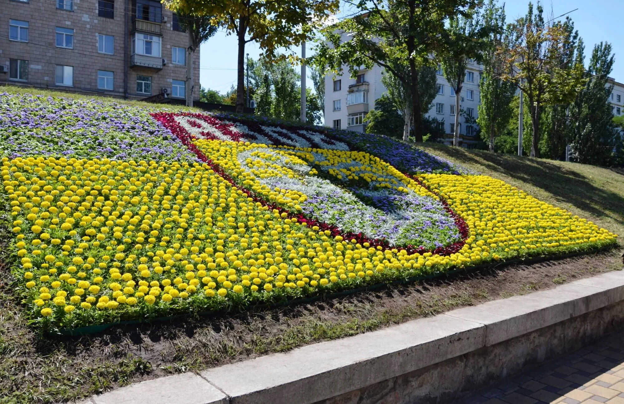 У Києві до Дня Незалежності створили понад 10 патріотичних квіткових композицій. Відео