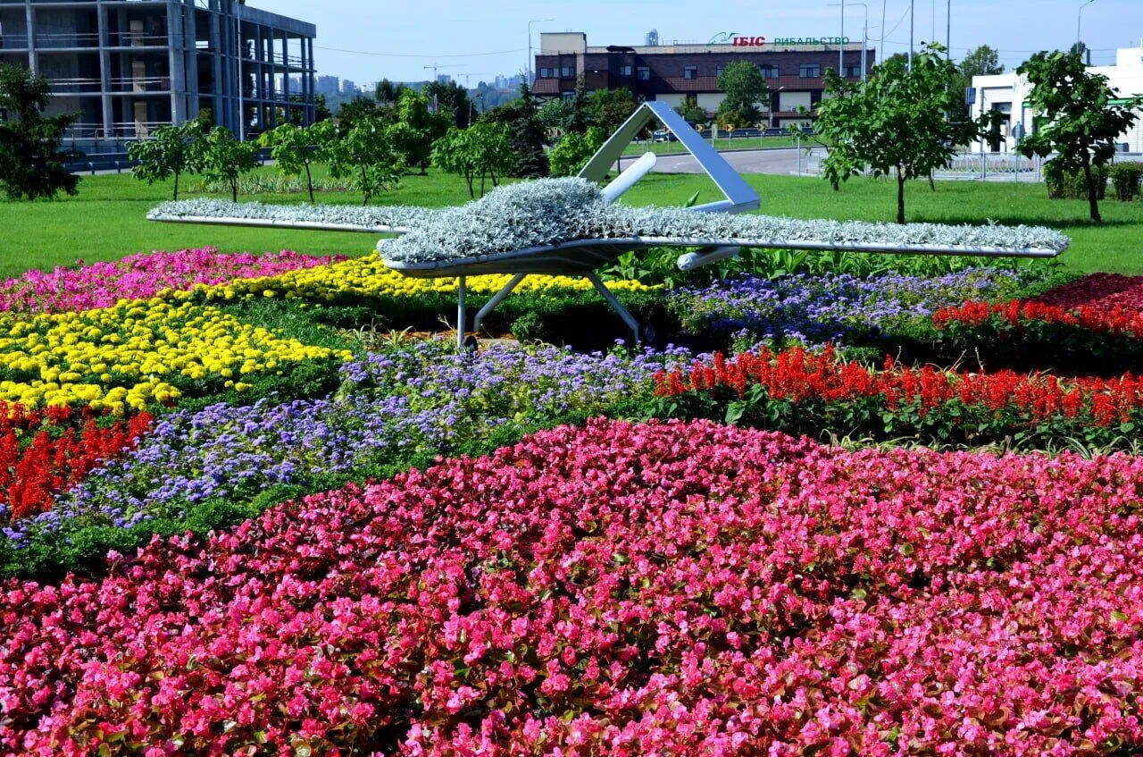 В Киеве ко Дню Независимости создали более 10 патриотических цветочных композиций. Видео