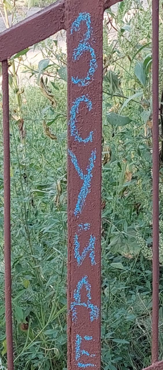 Акцию организовали активисты "Желтой Ленты"