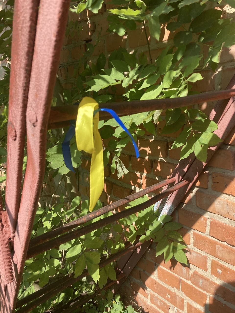 Местные активисты устроили смелую патриотическую акцию