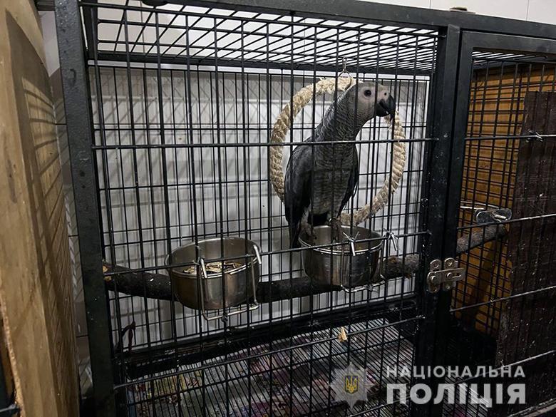В Киеве злоумышленники продавали краснокнижных животных: у них забрали около 400 зверей и птиц. Фото и видео