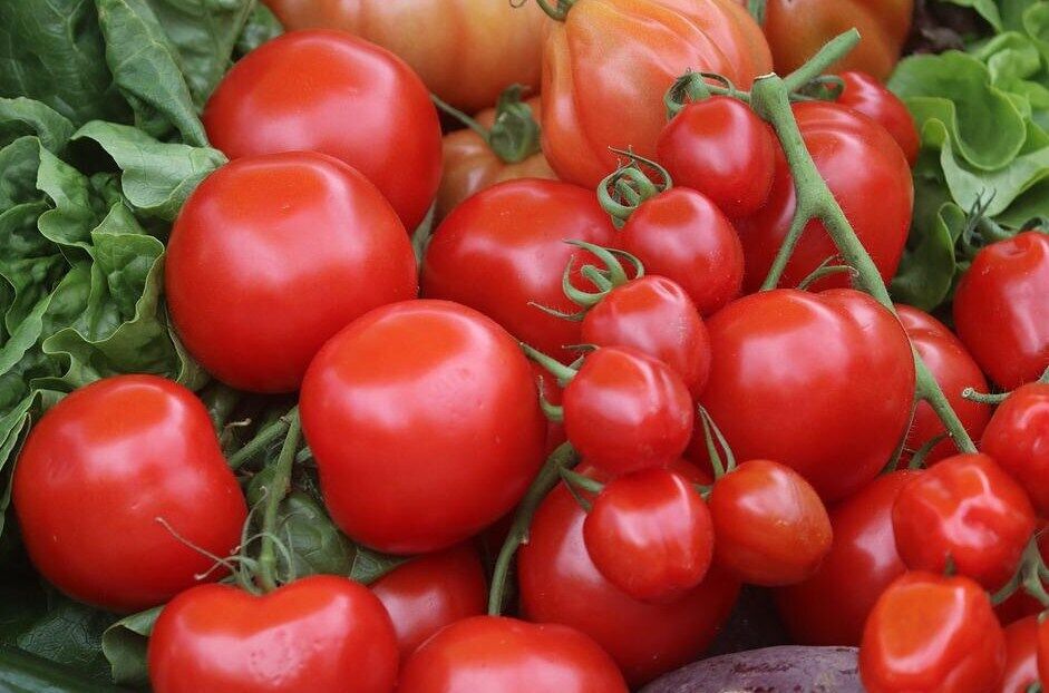 Свежие помидоры для кетчупа