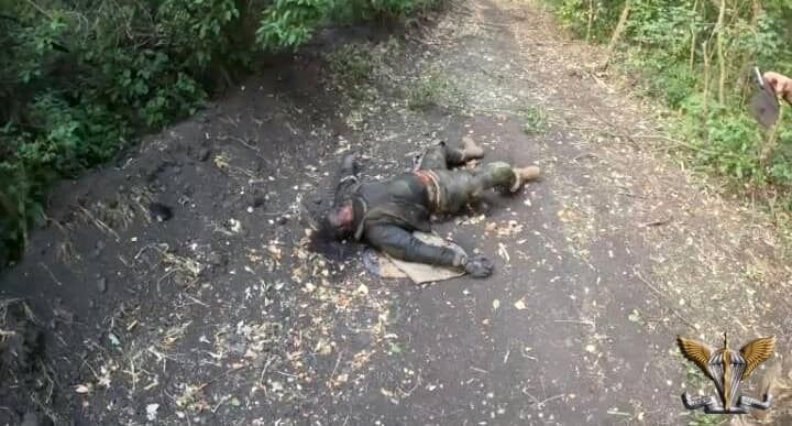 Украинские десантники уничтожили группу российских захватчиков в Донецкой области. Фото