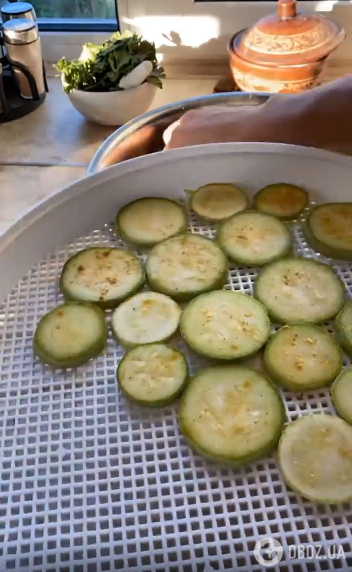 Сушені кабачки на зиму: як швидко та корисно заготувати овоч 