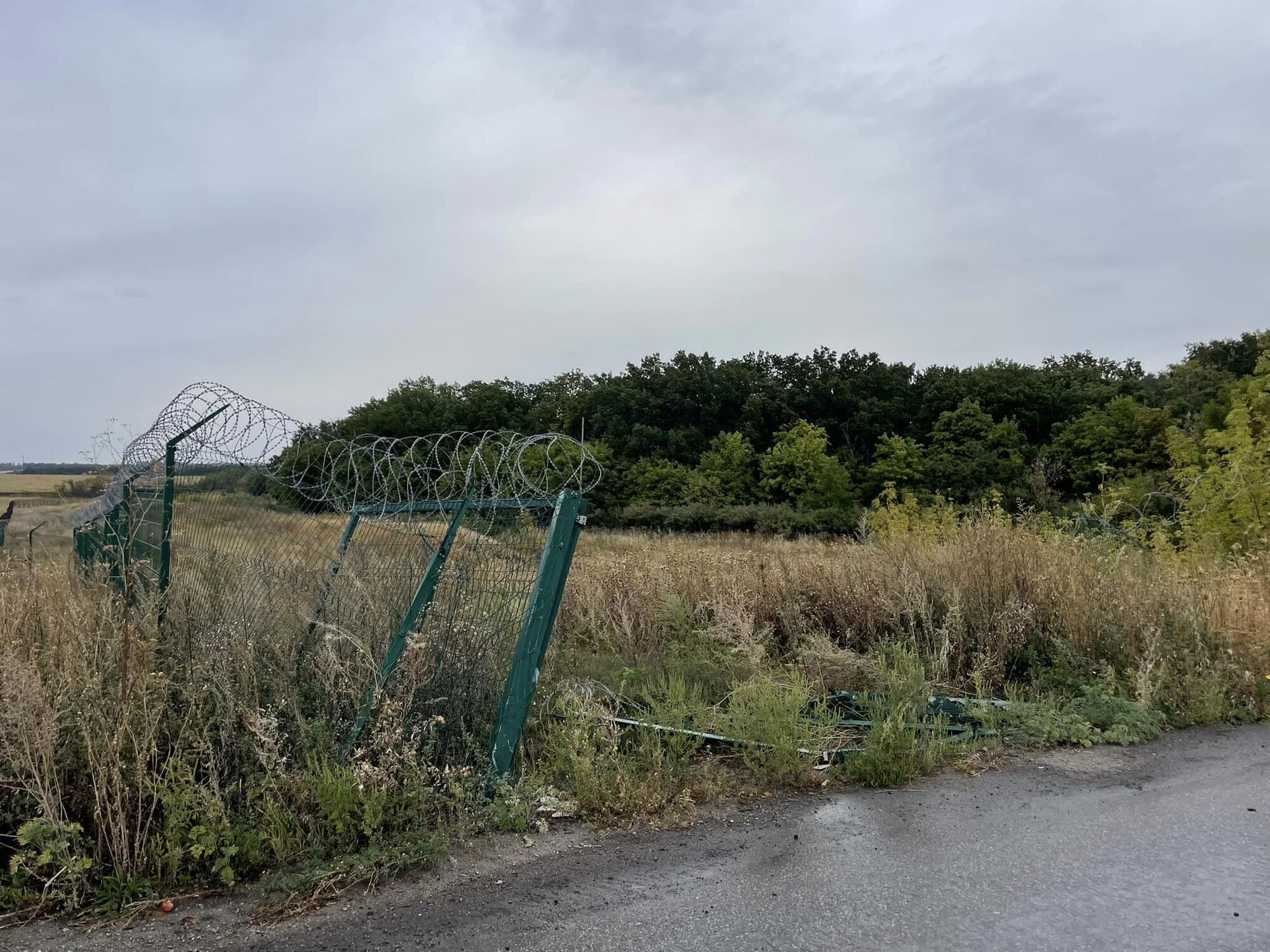 ''Стена Яценюка существует'': украинские военные показали изгородь на границе с РФ за 1,3 млрд гривен. Фото