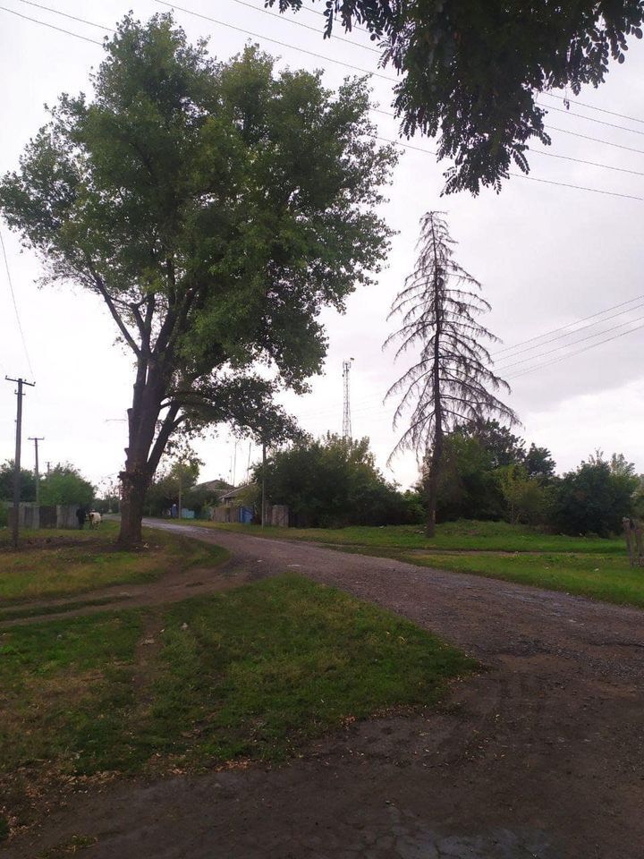 "Сватовщина ждет": Гайдай показал фото с украинским флагом в еще одном селе Луганской области