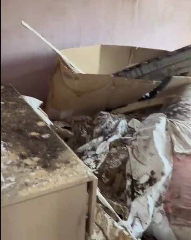 Мешканка Високопілля показала свій дім після втечі окупантів: пральну машину вкрасти не встигли. Відео   