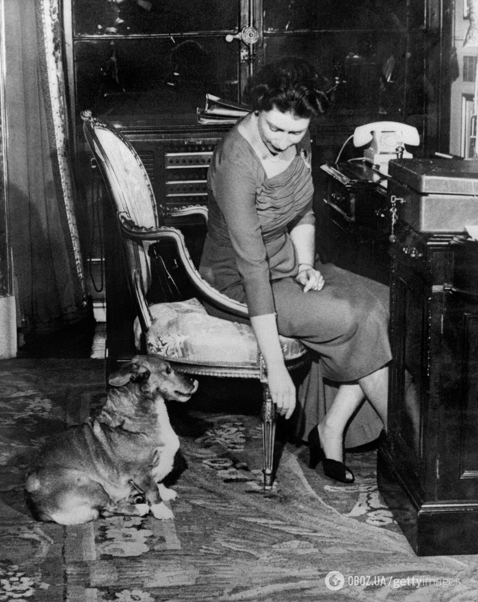 Єлизавета ІІ та її коргі. 10 чуттєвих фото про дружбу тривалістю 80 років