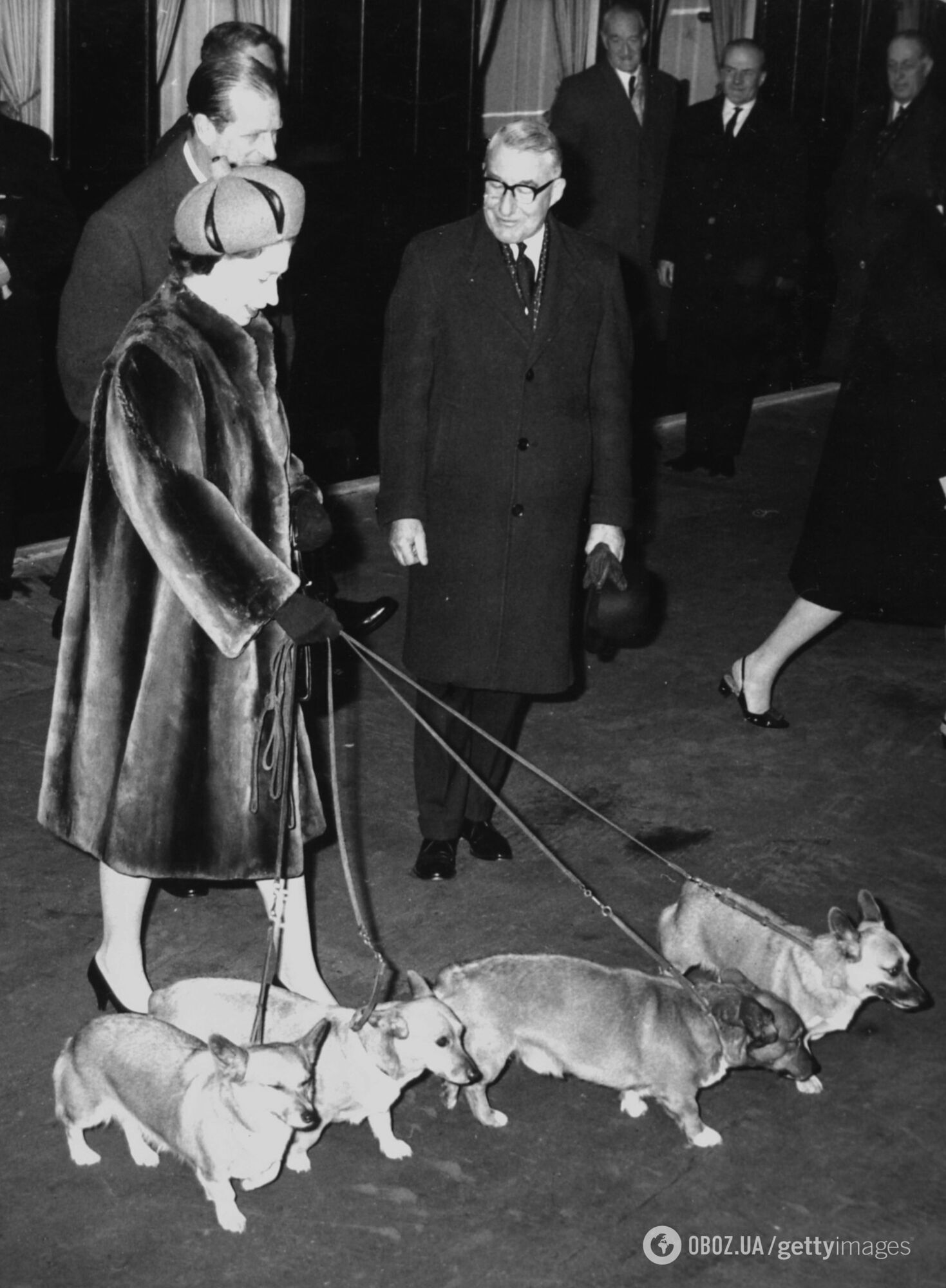 Єлизавета ІІ та її коргі. 10 чуттєвих фото про дружбу тривалістю 80 років