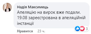 Через полгода выйдет на свободу: суд вынес приговор мажору Островскому, который на Hummer сбил девочку в Киеве. Фото