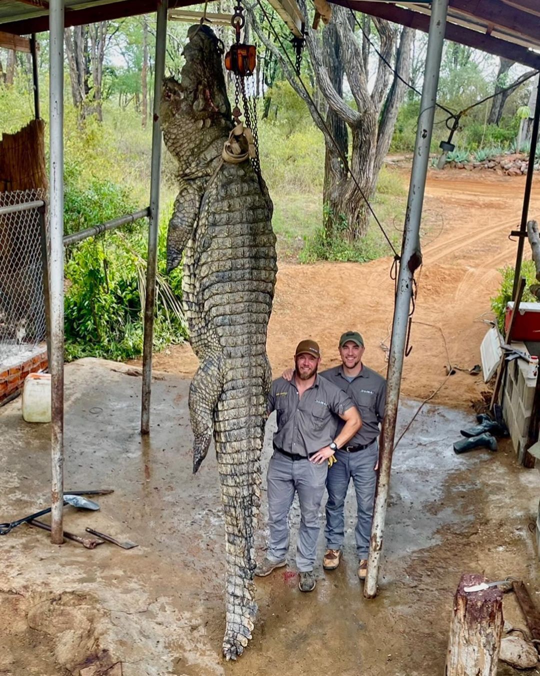 В Зимбабве выловили из озера гигантского крокодила: как выглядит "динозавр-людоед" длиной 4,5 метра