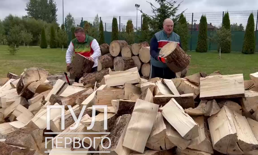 "Не дадим Европе замерзнуть": Лукашенко, рубая дрова, пообещал помощь Западу. Видео