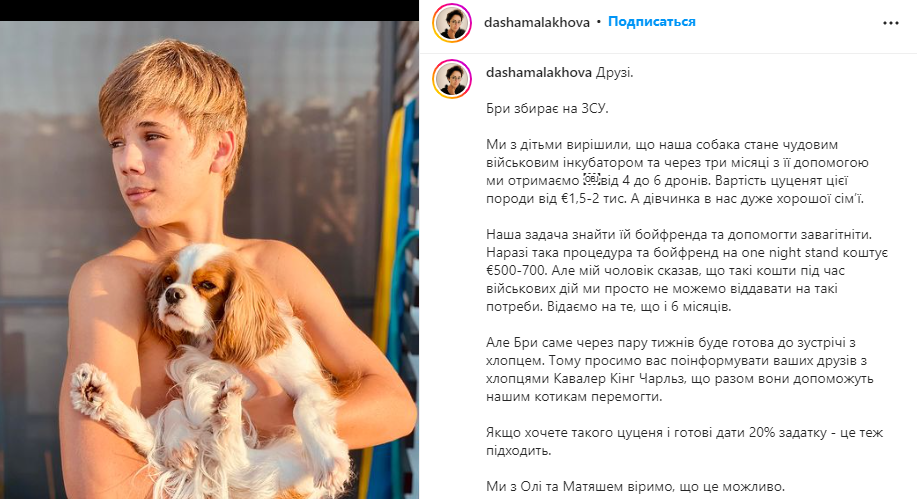 Раміна присоромила Дашу Малахову, яка вирішила зробити з собаки інкубатора заради ЗСУ. В чому суть скандалу