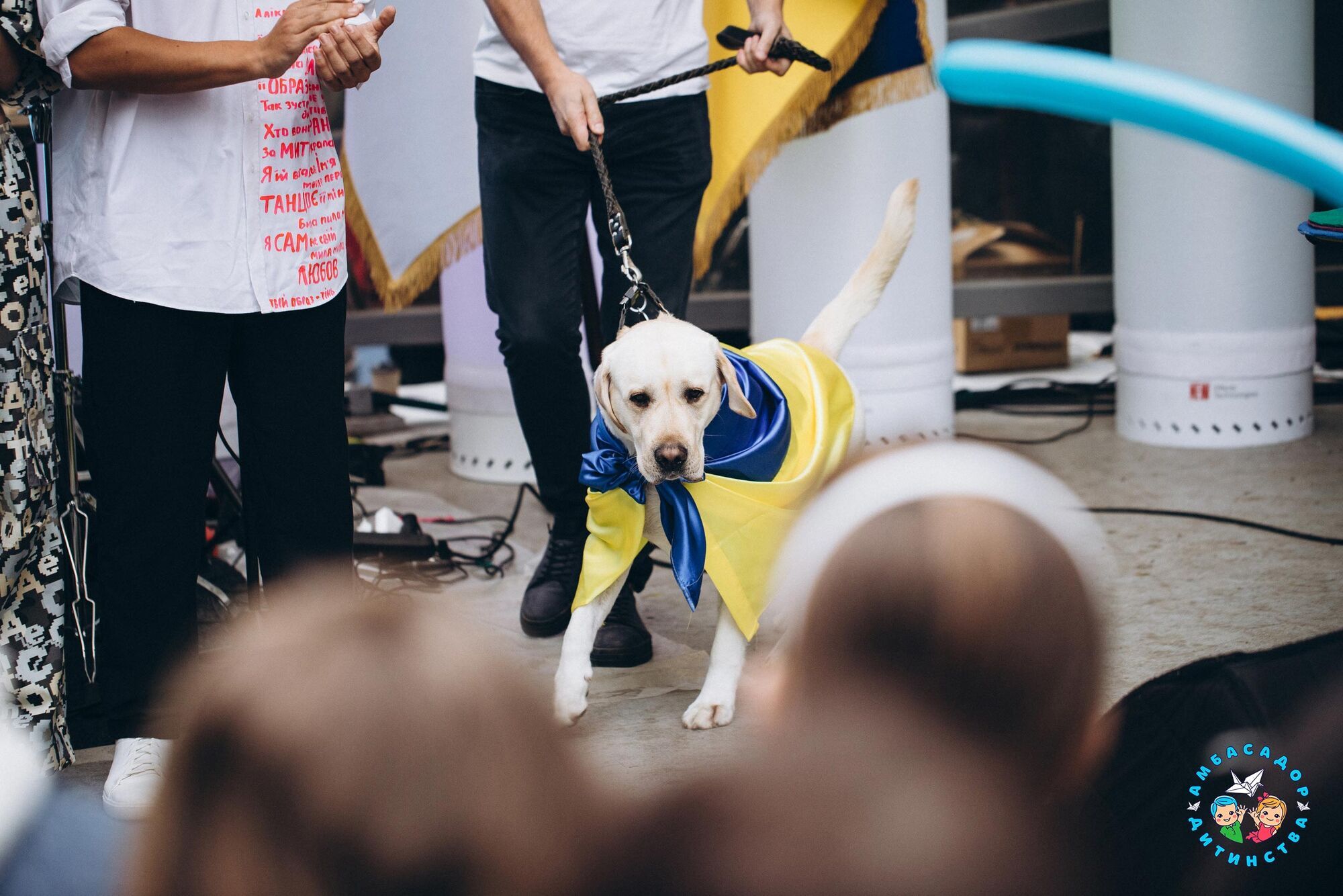 В Киеве состоялось благотворительное мероприятие общественной инициативы "Амбасадор Детства"