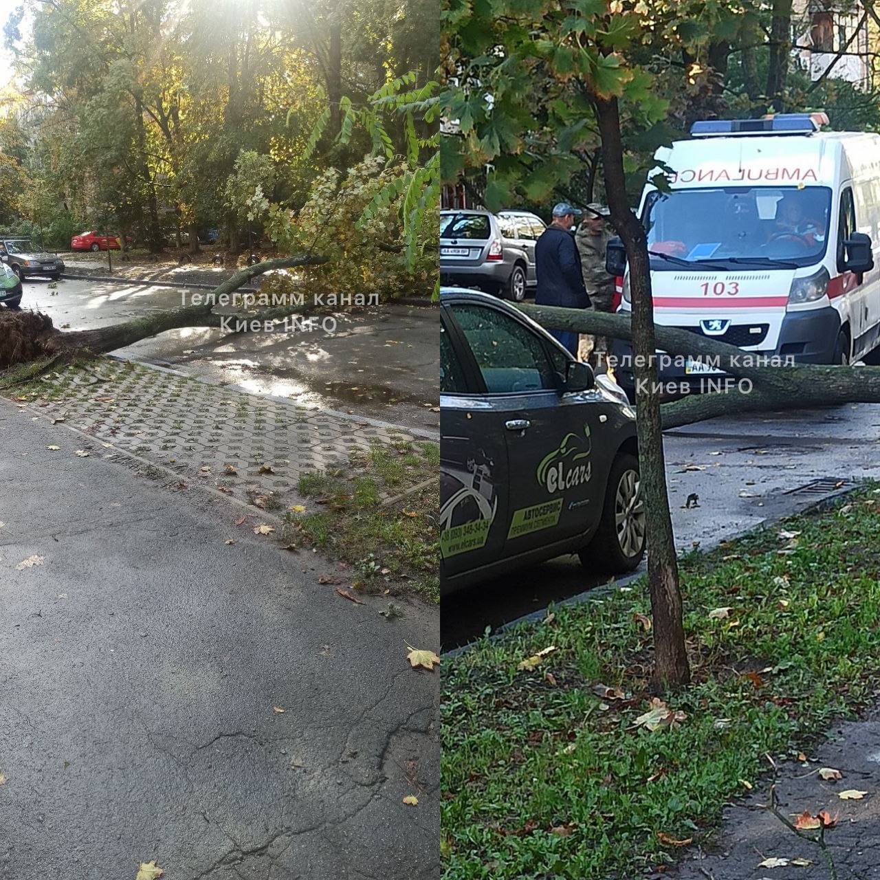 В Киеве ветер валил деревья и обрывал провода электропередач, пострадал молодой парень. Фото и видео