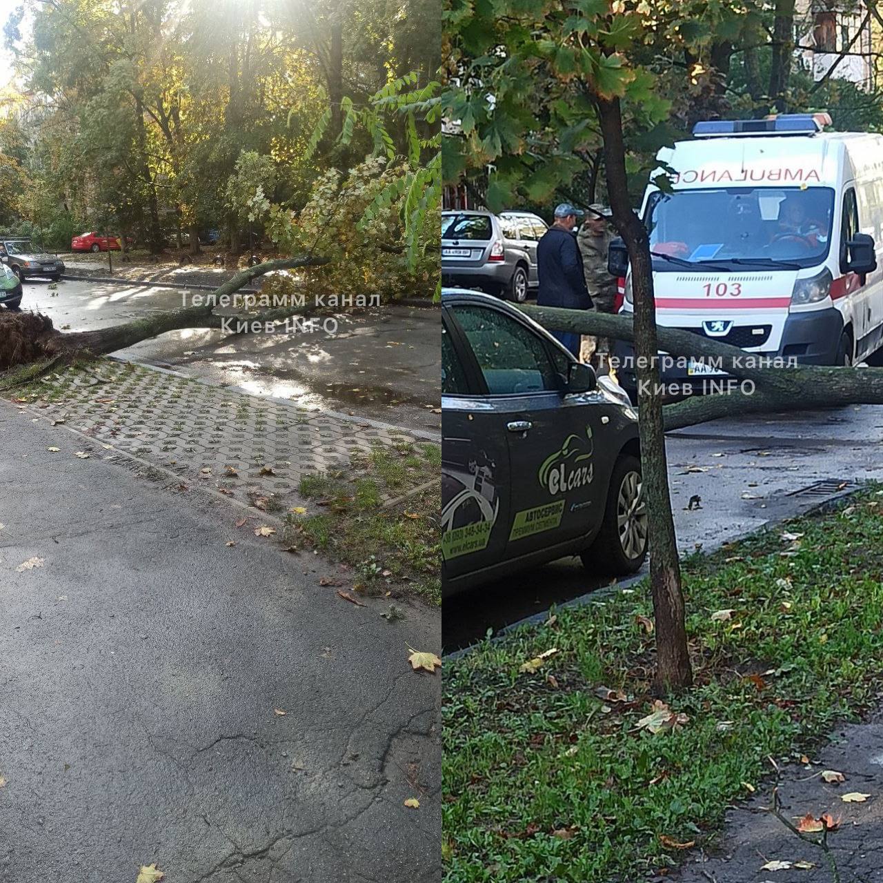 У Києві вітер валив дерева і обривав дроти електропередач, постраждав молодий хлопець. Фото і відео