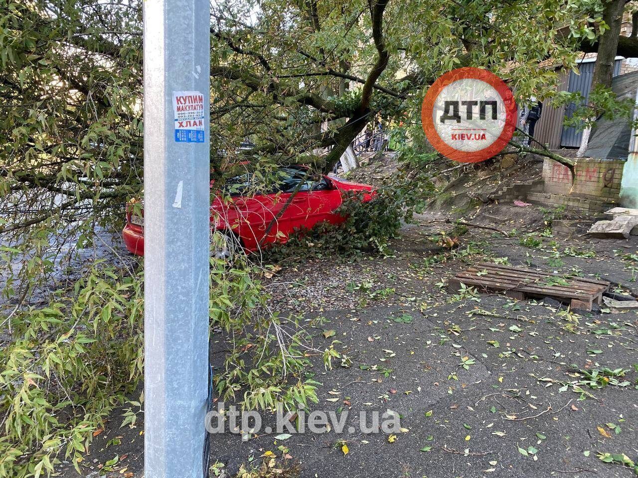 У Києві вітер валив дерева і обривав дроти електропередач, постраждав молодий хлопець. Фото і відео