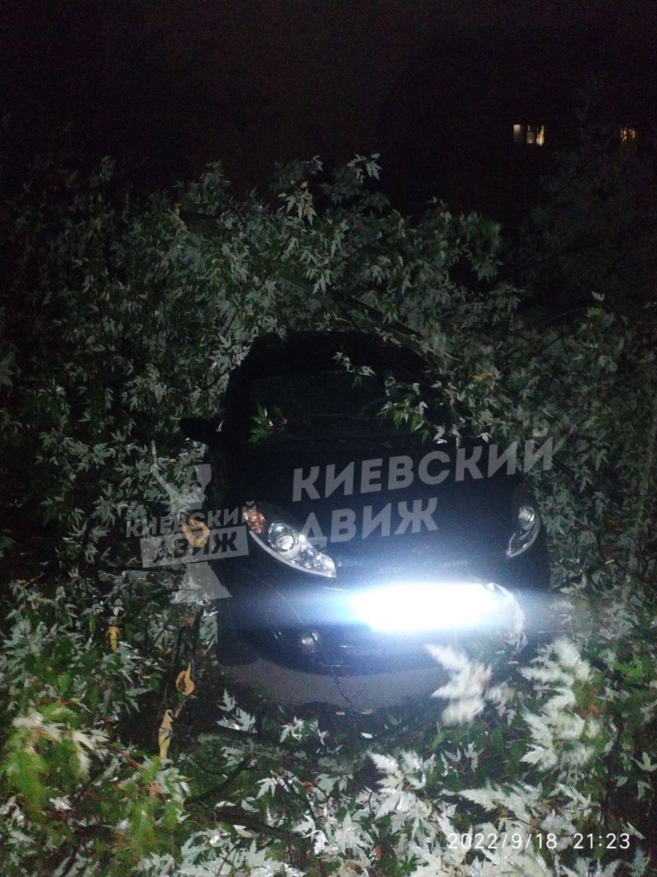 У Києві через негоду авто провалилося під асфальт, а станція метро "Академмістечко" пішла під воду. Фото та відео 