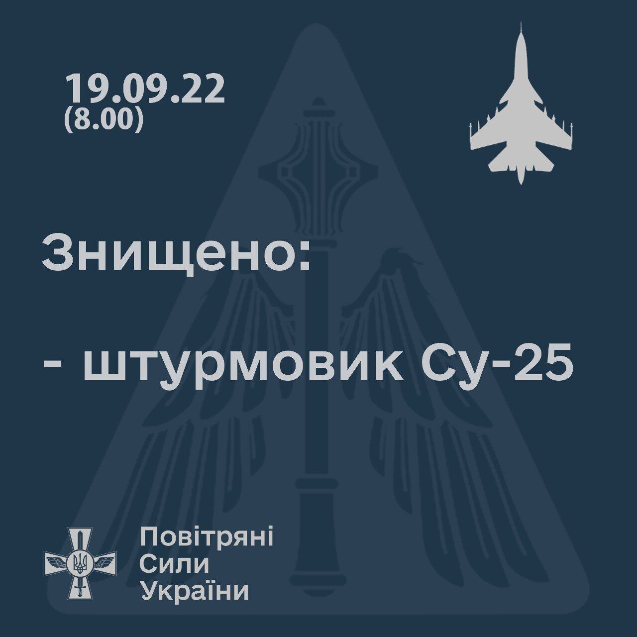 В небе над Херсонской областью приземлили российский самолет