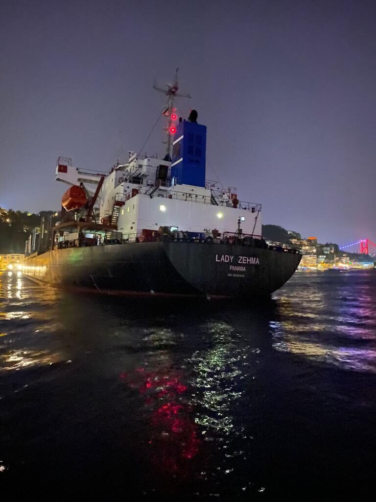 У Туреччині врятували суховантаж з українським зерном: судно сіло на мілину в Стамбулі