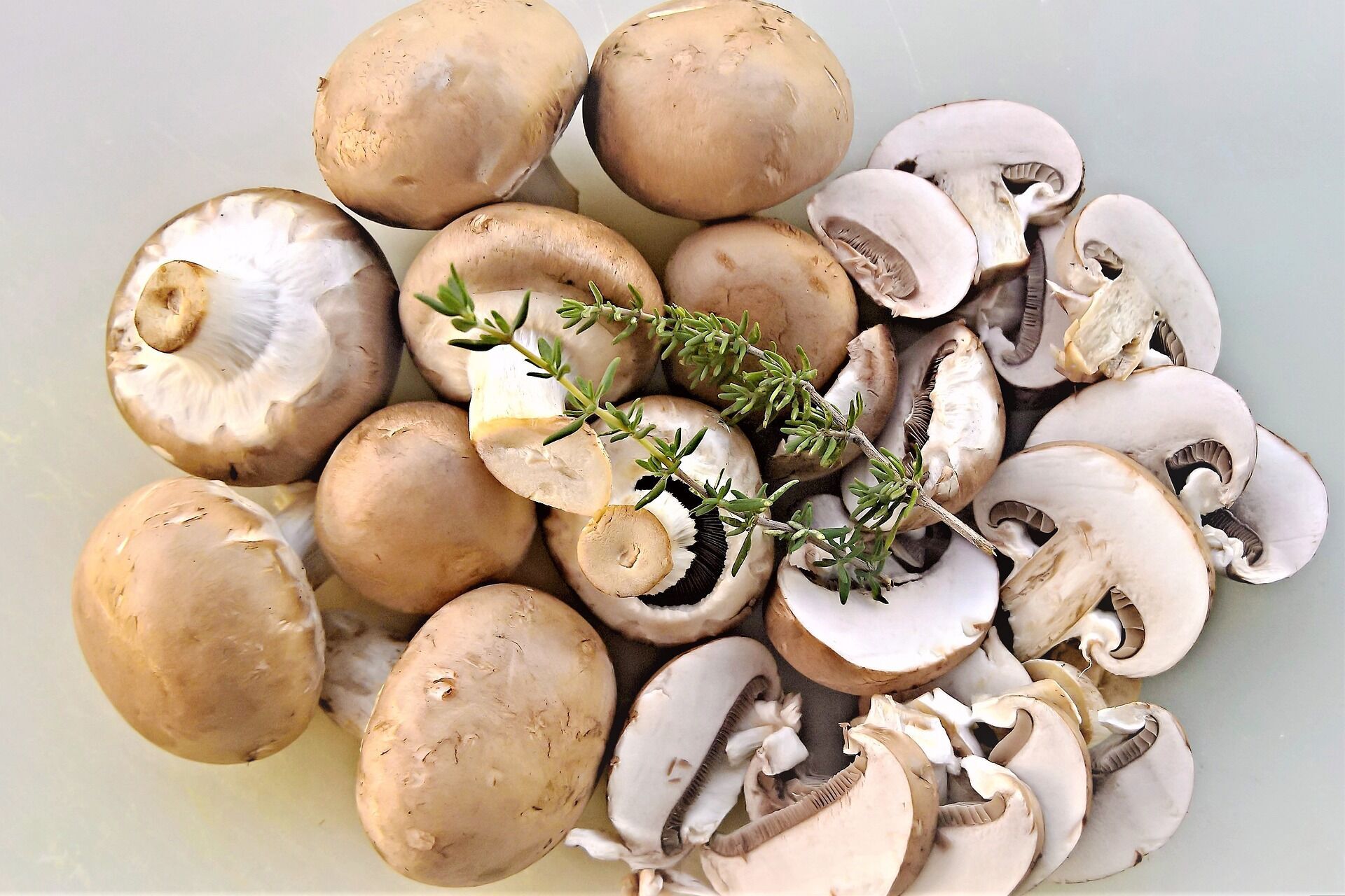 Как приготовить ''Шубу'' из грибов