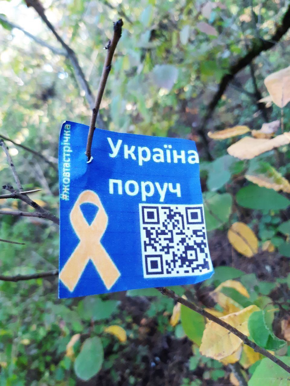 "Украина рядом"