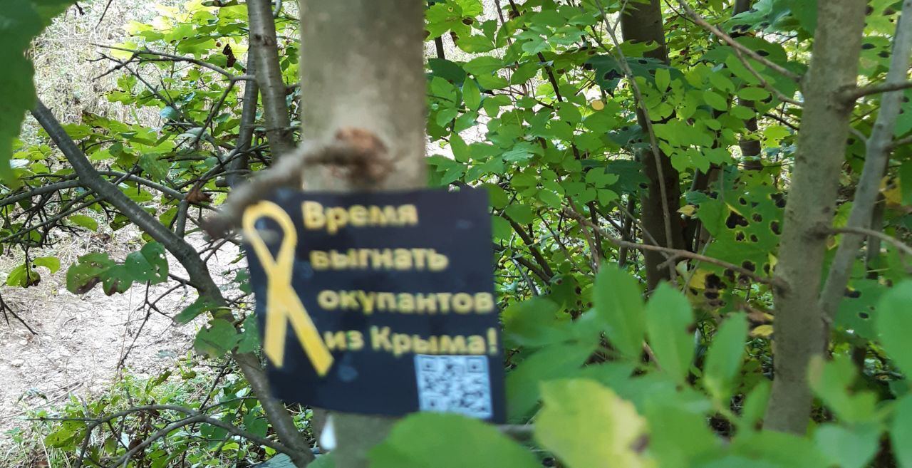 ''Час вигнати окупантів'': у Сімферополі патріоти України влаштували сміливу акцію. Фото 