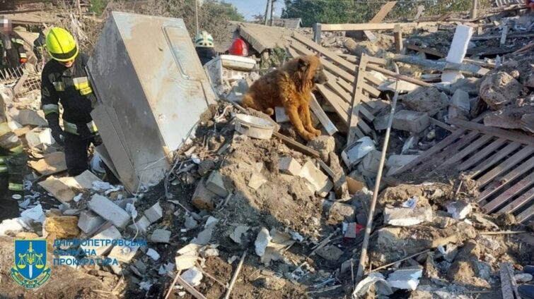 Картина заплаканного пса Крыма на руинах дома в Днепре довела украинцев до слез