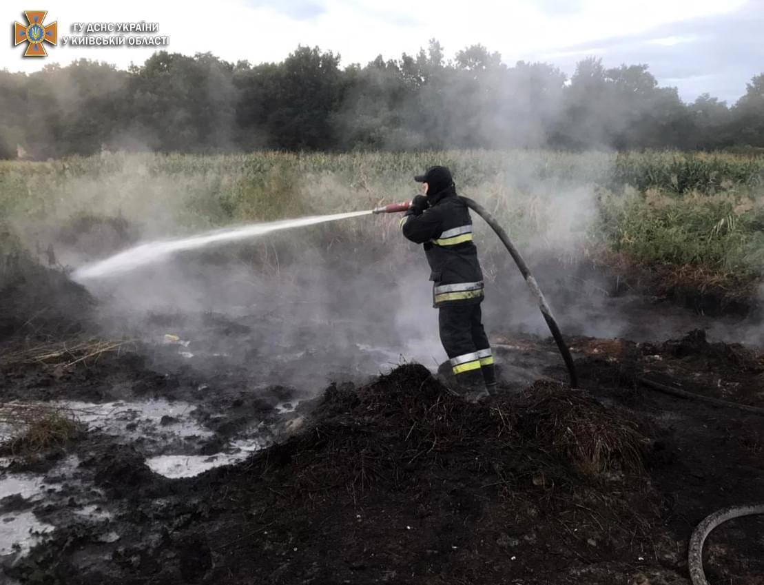 Через пожежі на торфовищах Київ опинився на першому місці в світі із забруднення повітря. Фото