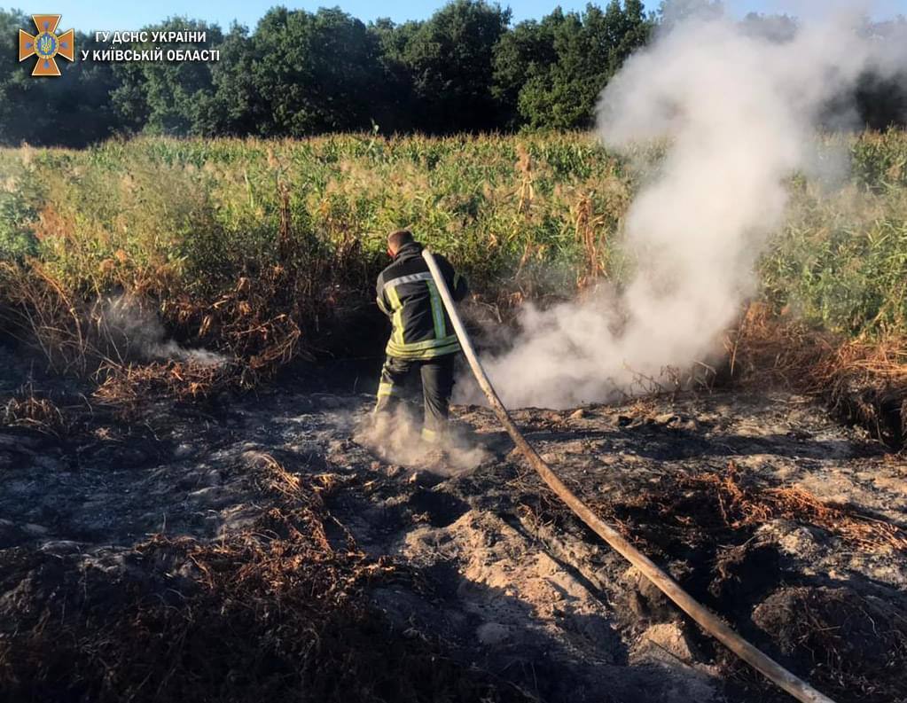 Через пожежі на торфовищах Київ опинився на першому місці в світі із забруднення повітря. Фото