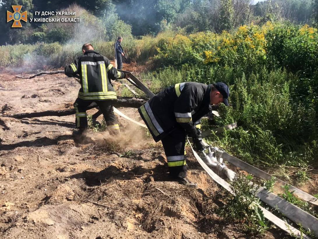 Через пожежі на торфовищах Київ опинився на першому місці в світі із забруднення повітря. Фото