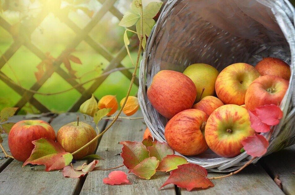Як приготувати натуральне яблучне пюре
