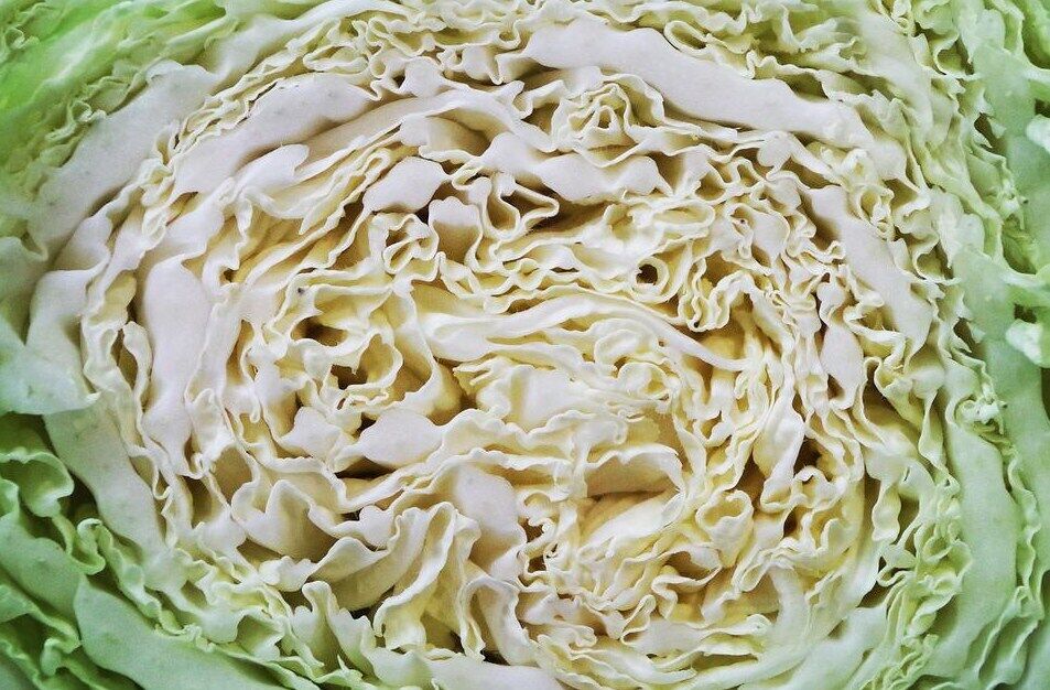 Рецепти приготування капусти