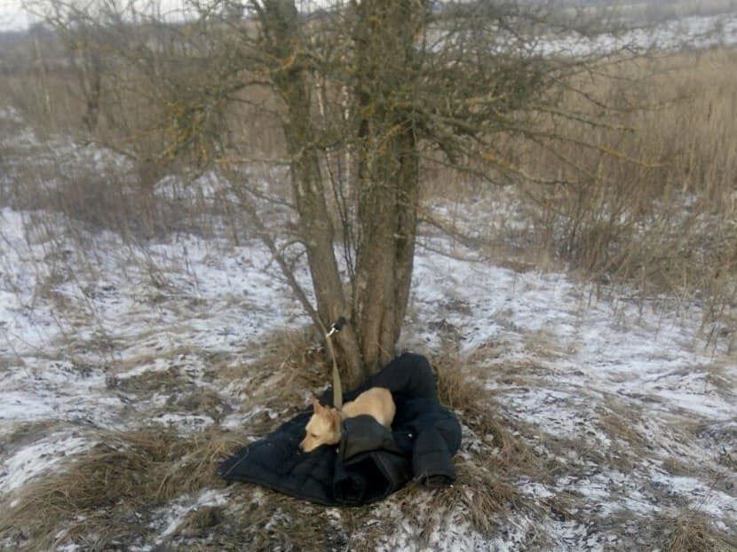 На Київщині чоловік ціною власного життя врятував собаку: сам провалився під кригу і втопився. Фото