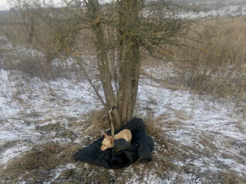 В Киевской области мужчина ценой собственной жизни спас собаку: сам провалился под лед и утонул. Фото