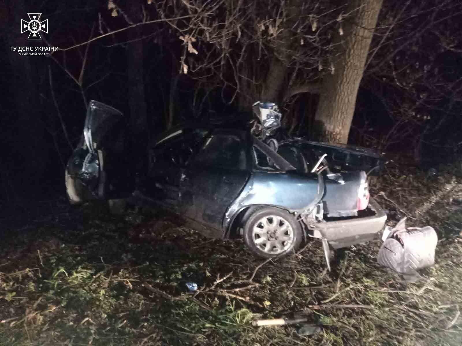 В Киевской области легковушка на скорости протаранила дерево: водителя из машины доставали спасатели. Фото