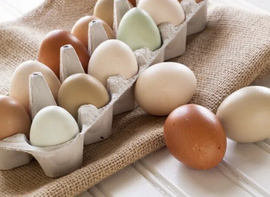 Чому не можна кидати яйця в киплячу воду: спосіб вдало зварити