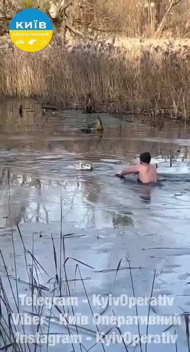 У Києві чоловік врятував собаку, який провалився під лід: зворушливе відео