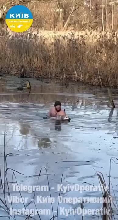 У Києві чоловік врятував собаку, який провалився під лід: зворушливе відео