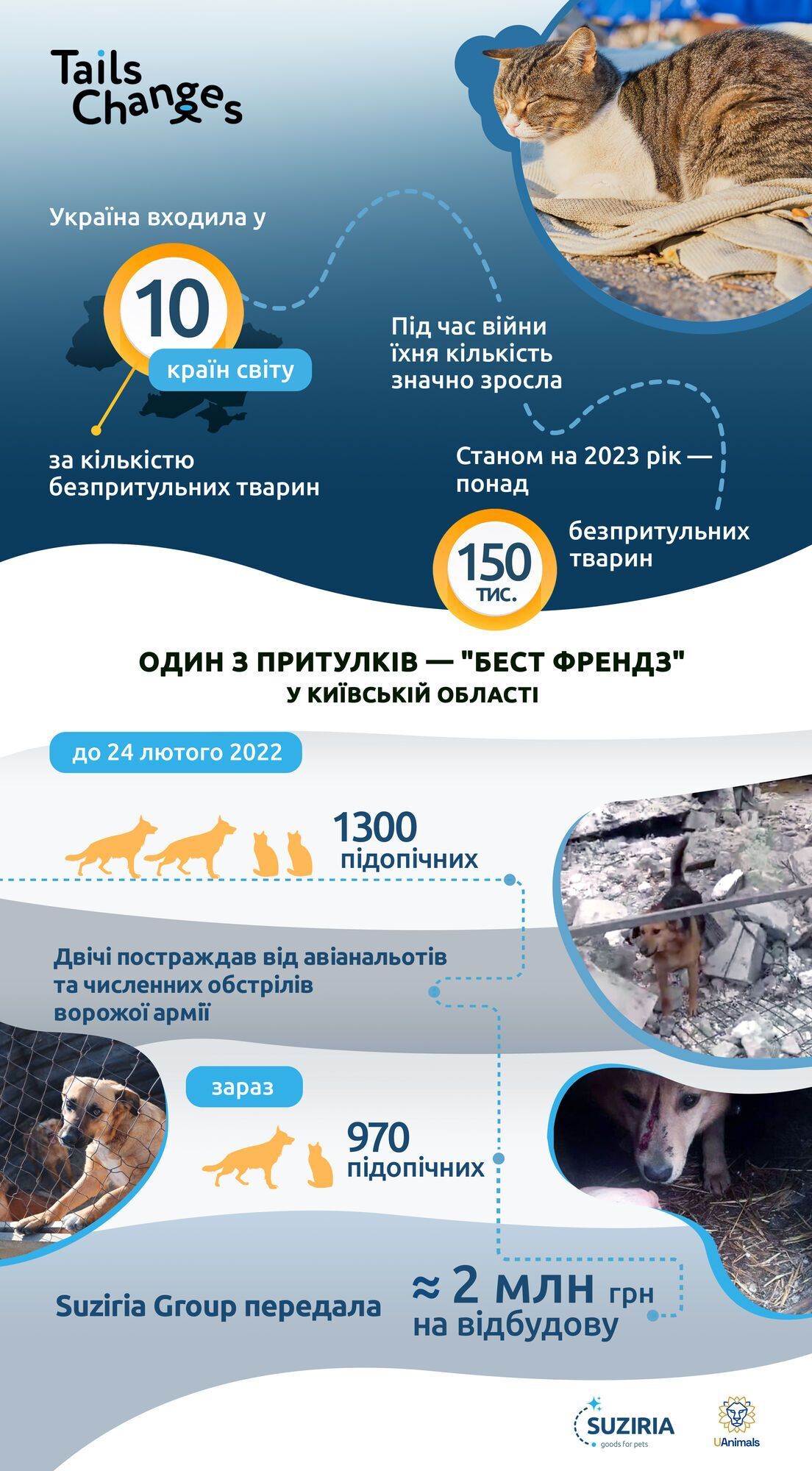В Киевской области отстроят разрушенный приют для животных за почти 2 млн грн