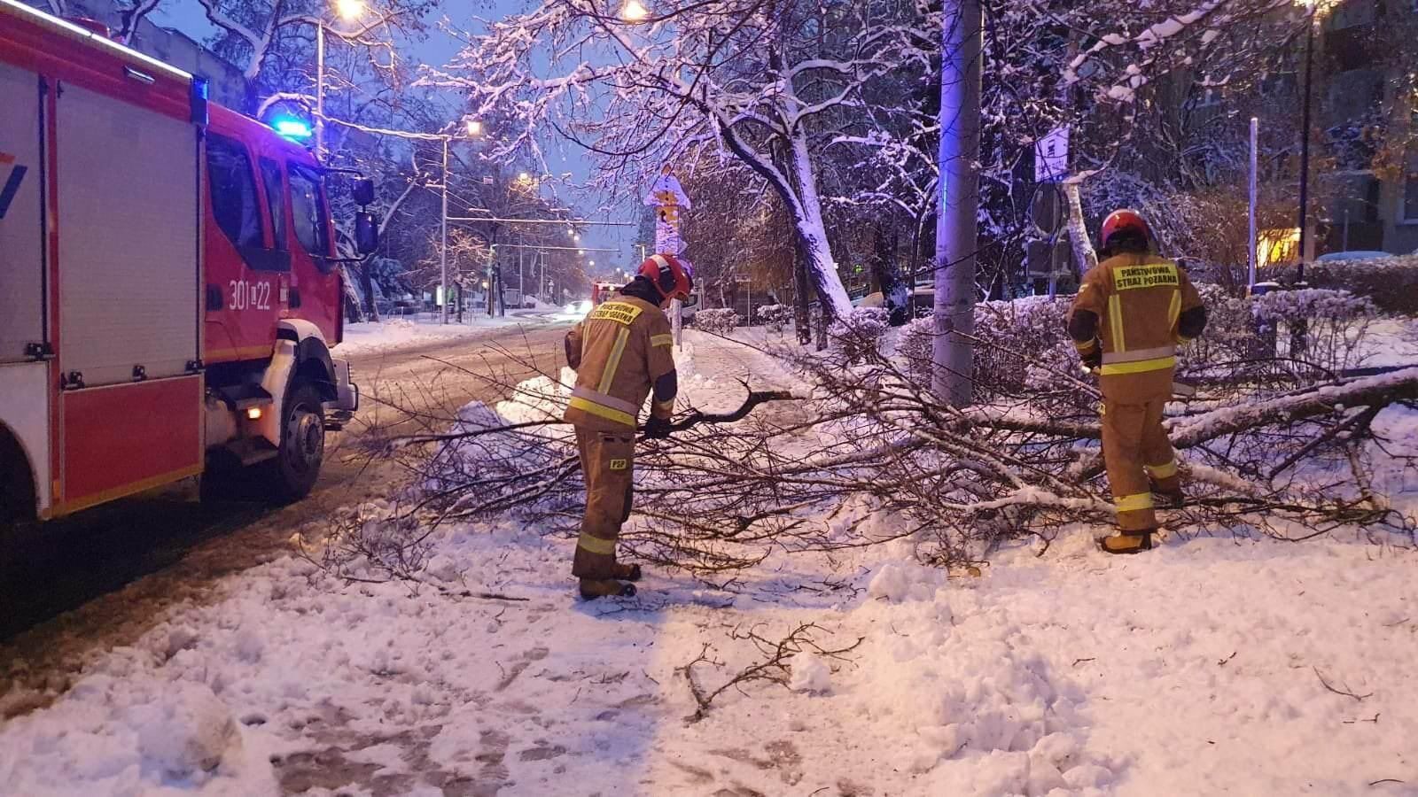 У Польщі аномальні снігопади: загинуло 2 особи, 300 тис. людей залишились без електрики. Фото