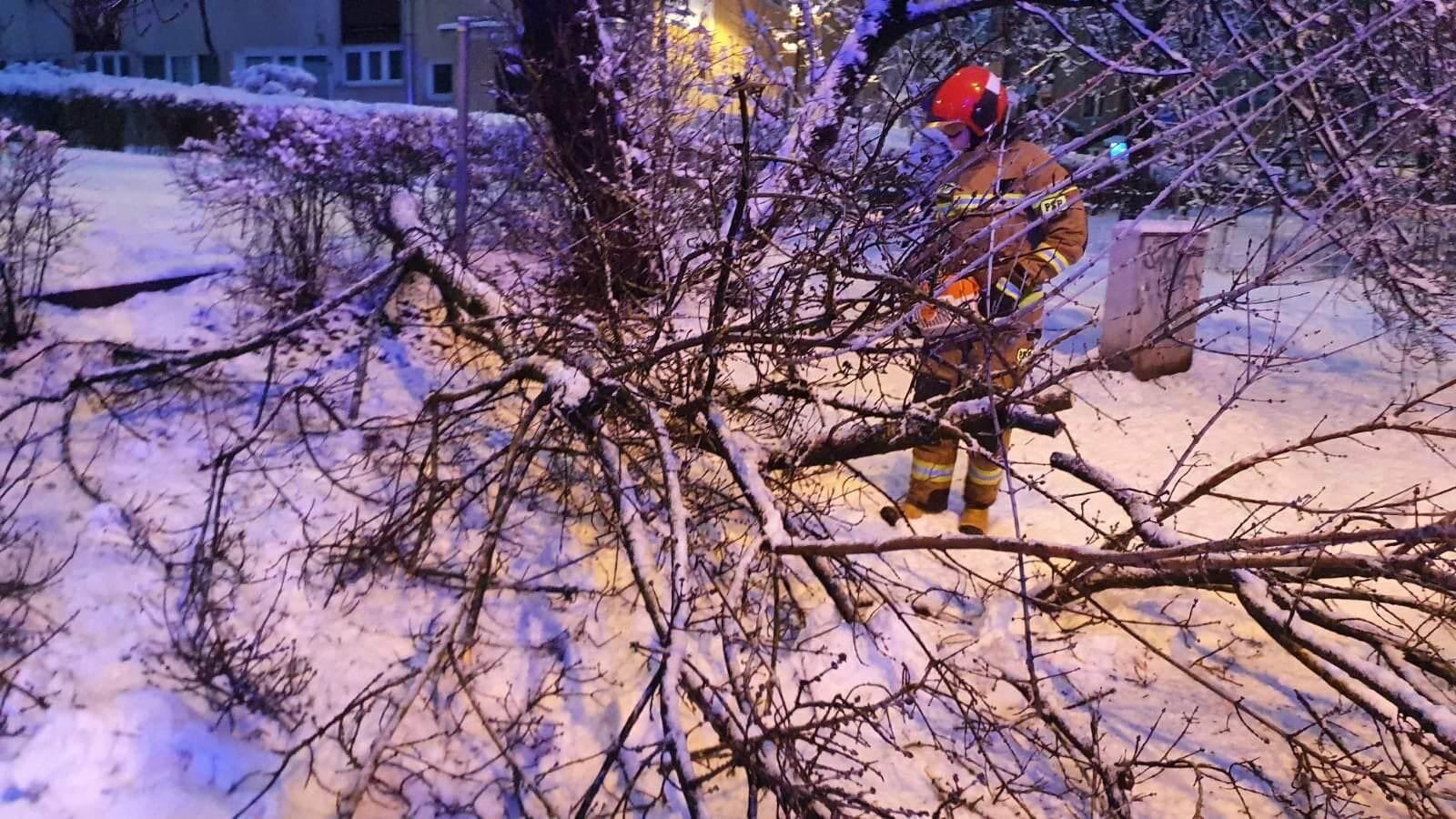 У Польщі аномальні снігопади: загинуло 2 особи, 300 тис. людей залишились без електрики. Фото
